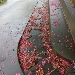 The Unraveling Stillness: Flux as the Hidden Pulse of the Universe