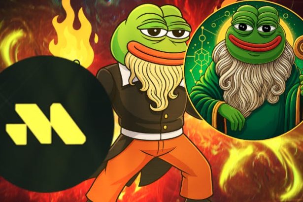 BlockDAG vs Remittix vs Pepeto: Which 2025 Presale Offers the Best Risk-Reward?