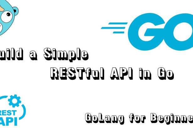Building a Simple REST API in Go Without Frameworks