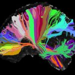 FTC: Consumer AI Chatbot Psychosis Research Lab