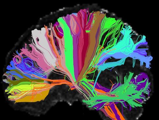 FTC: Consumer AI Chatbot Psychosis Research Lab