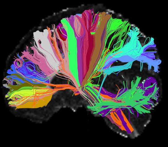 FTC: Consumer AI Chatbot Psychosis Research Lab