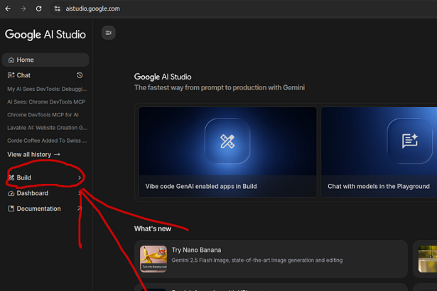 New Google AI Studio Build: A FREE AI App Builder