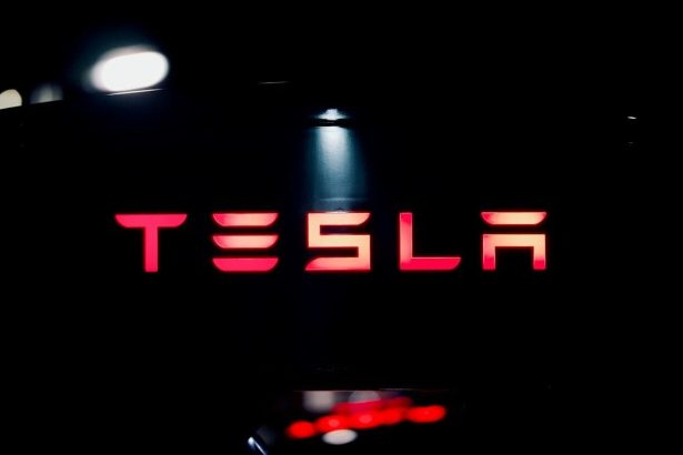 Tesla Rolls Out Cheaper EVs, But Prices Fail to Excite Market